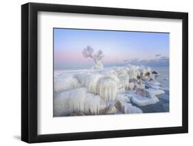 Ice Wonderland-Larry Deng-Framed Photographic Print