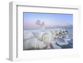 Ice Wonderland-Larry Deng-Framed Photographic Print