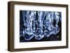 Ice-WizData-Framed Photographic Print