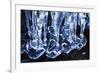 Ice-WizData-Framed Photographic Print