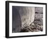 Ice-WizData-Framed Photographic Print