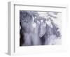 Ice-WizData-Framed Photographic Print