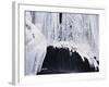 Ice-WizData-Framed Photographic Print