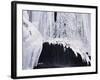 Ice-WizData-Framed Photographic Print