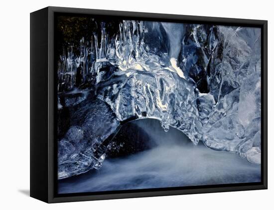 Ice-Eric Meyer-Framed Stretched Canvas