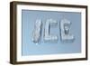 Ice-magann-Framed Art Print