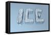 Ice-magann-Framed Stretched Canvas