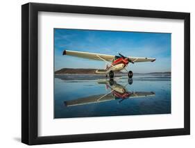 Ice-James Stevenson-Framed Photographic Print