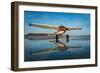 Ice-James Stevenson-Framed Photographic Print