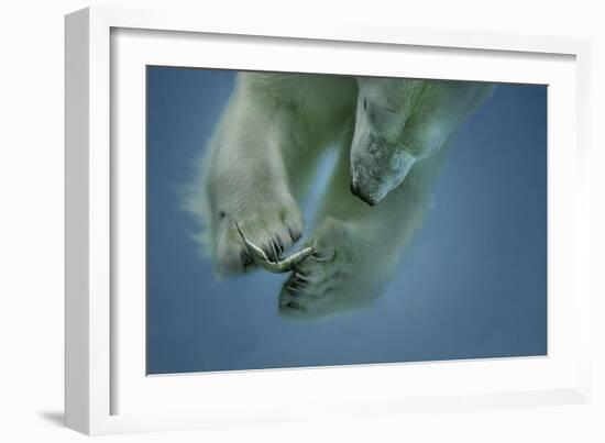 Icebaer-Peter Wagner-Framed Giclee Print