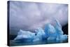 Iceberg Along Alaskan Wilderness-null-Stretched Canvas