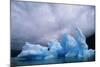 Iceberg Along Alaskan Wilderness-null-Mounted Photographic Print