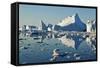 Iceberg and Bergy Bits in Disko Bay in Greenland-null-Framed Stretched Canvas