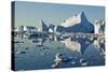 Iceberg and Bergy Bits in Disko Bay in Greenland-null-Stretched Canvas