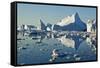 Iceberg and Bergy Bits in Disko Bay in Greenland-null-Framed Stretched Canvas