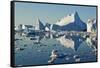 Iceberg and Bergy Bits in Disko Bay in Greenland-null-Framed Stretched Canvas