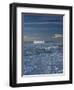 Iceberg and Pack Ice, Weddell Sea, Antarctic Peninsula, Antarctica, Polar Regions-Thorsten Milse-Framed Photographic Print