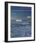 Iceberg and Pack Ice, Weddell Sea, Antarctic Peninsula, Antarctica, Polar Regions-Thorsten Milse-Framed Photographic Print