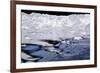 Iceberg and Waves in Greenland-Françoise Gaujour-Framed Photographic Print