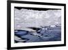 Iceberg and Waves in Greenland-Françoise Gaujour-Framed Photographic Print