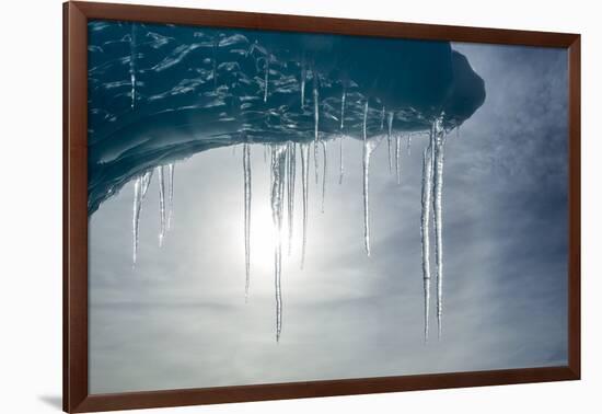 Iceberg, Antarctica-null-Framed Photographic Print