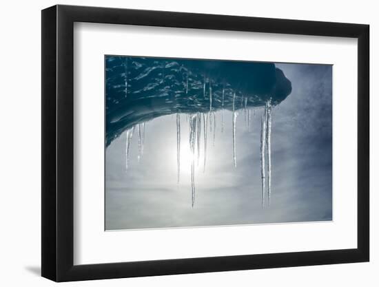 Iceberg, Antarctica-null-Framed Photographic Print