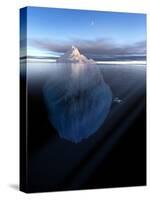 Iceberg, Artwork-Detlev Van Ravenswaay-Stretched Canvas