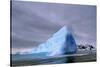 Iceberg at Entrance to Lemaire Channel in Antarctica-null-Stretched Canvas