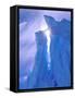 Iceberg, Australian Antarctic Territory, Antarctica-Pete Oxford-Framed Stretched Canvas