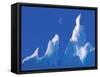 Iceberg, Australian Antarctic Territory, Antarctica-Pete Oxford-Framed Stretched Canvas