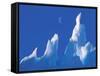 Iceberg, Australian Antarctic Territory, Antarctica-Pete Oxford-Framed Stretched Canvas