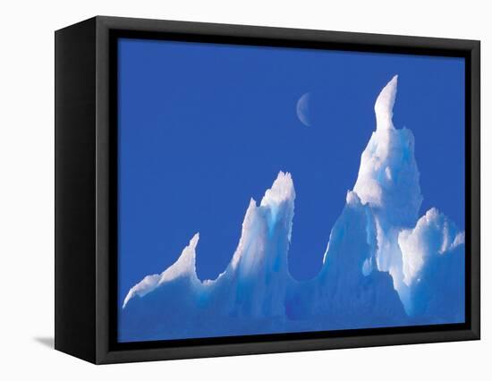 Iceberg, Australian Antarctic Territory, Antarctica-Pete Oxford-Framed Stretched Canvas