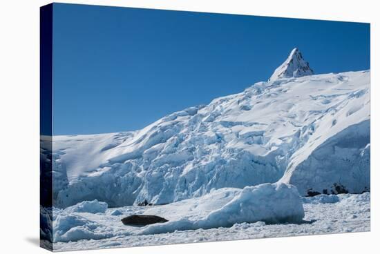 Iceberg, Cierva Cove, Antarctica, Polar Regions-Michael Runkel-Stretched Canvas