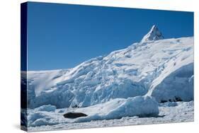 Iceberg, Cierva Cove, Antarctica, Polar Regions-Michael Runkel-Stretched Canvas