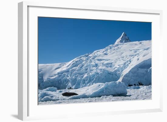 Iceberg, Cierva Cove, Antarctica, Polar Regions-Michael Runkel-Framed Photographic Print