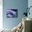 Iceberg Details of Jokulsarlon Lagoon, Iceland-Art Wolfe-Mounted Photographic Print displayed on a wall