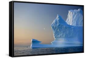 Iceberg, Disko Bay, Greenland, August 2009. Wwe Indoor Exhibition-Jensen-Framed Stretched Canvas