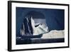 Iceberg, Disko Bay, Greenland, August 2009-Jensen-Framed Photographic Print