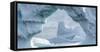 Iceberg floating in Southern Ocean, Antarctic Peninsula, Antarctica-Panoramic Images-Framed Stretched Canvas