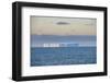 Iceberg floating in the South Orkney Islands, Antarctica, Polar Regions-Michael Runkel-Framed Photographic Print