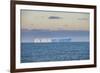 Iceberg floating in the South Orkney Islands, Antarctica, Polar Regions-Michael Runkel-Framed Photographic Print