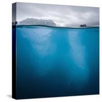 Iceberg Floating, Lilliehook Glacier, Lilliehookfjorden, Krossfjorde, Spitsbergen, Svalbard, Norway-Paul Souders-Stretched Canvas