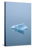 Iceberg Floats on Erik's Fjord in Southern Greenland-David Noyes-Stretched Canvas