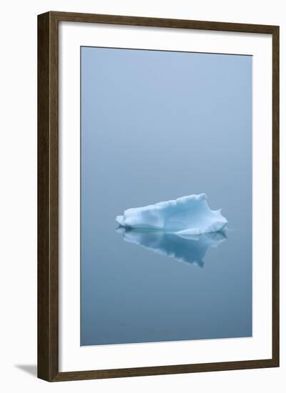 Iceberg Floats on Erik's Fjord in Southern Greenland-David Noyes-Framed Photographic Print