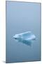 Iceberg Floats on Erik's Fjord in Southern Greenland-David Noyes-Mounted Photographic Print