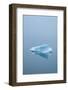 Iceberg Floats on Erik's Fjord in Southern Greenland-David Noyes-Framed Photographic Print