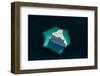 Iceberg from above showing submerged section, Greenland-Uri Golman-Framed Photographic Print