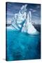 Iceberg, Gerlache Strait, Antarctic Peninsula-null-Stretched Canvas