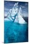 Iceberg, Gerlache Strait, Antarctic Peninsula-null-Mounted Photographic Print