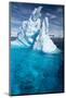 Iceberg, Gerlache Strait, Antarctic Peninsula-null-Mounted Photographic Print